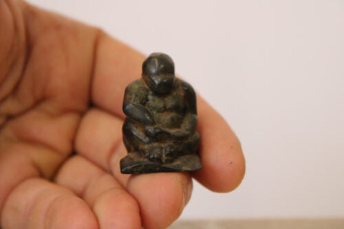 Groß Wittfeitzen_Staude_3_Gorilla