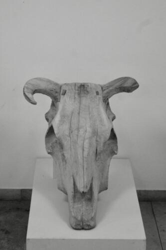 Groß Wittfeitzen_Staude_Objekt2