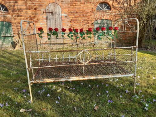 Beseland Schulz 4 wir-haben-heute-die-Rosen-ins-Bett-gebracht 