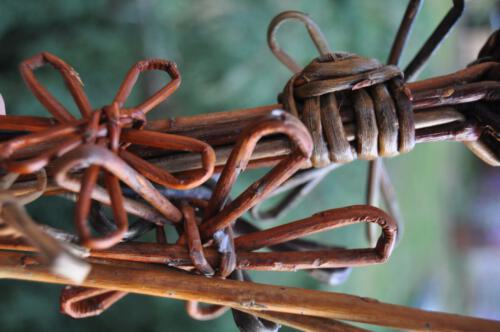 Gross-Wittfeitzen Staude 4 Blumen