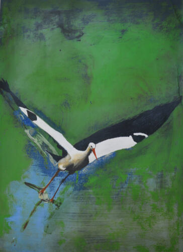 Küsten-artyschock-1-StorchuebermSalat