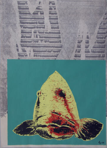 Küsten-artyschock-10-ZackenbarschRuecksicht